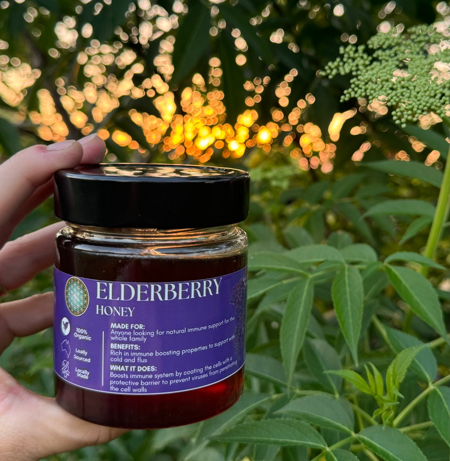 Elderberry Honey