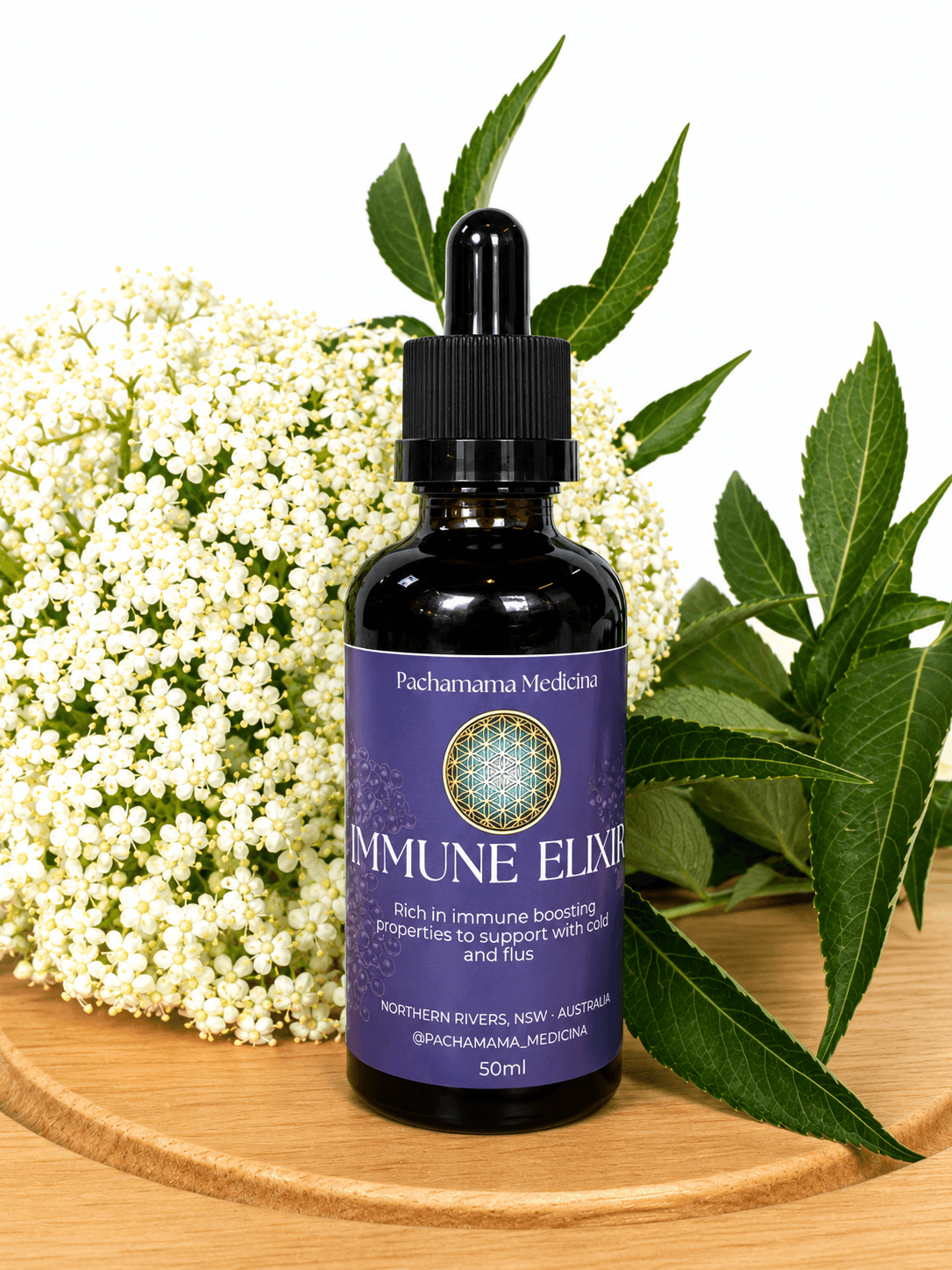 Elderberry liquid elixir for immune resilience by Pachamama Medicina, Northern Rivers NSW herbal medicine