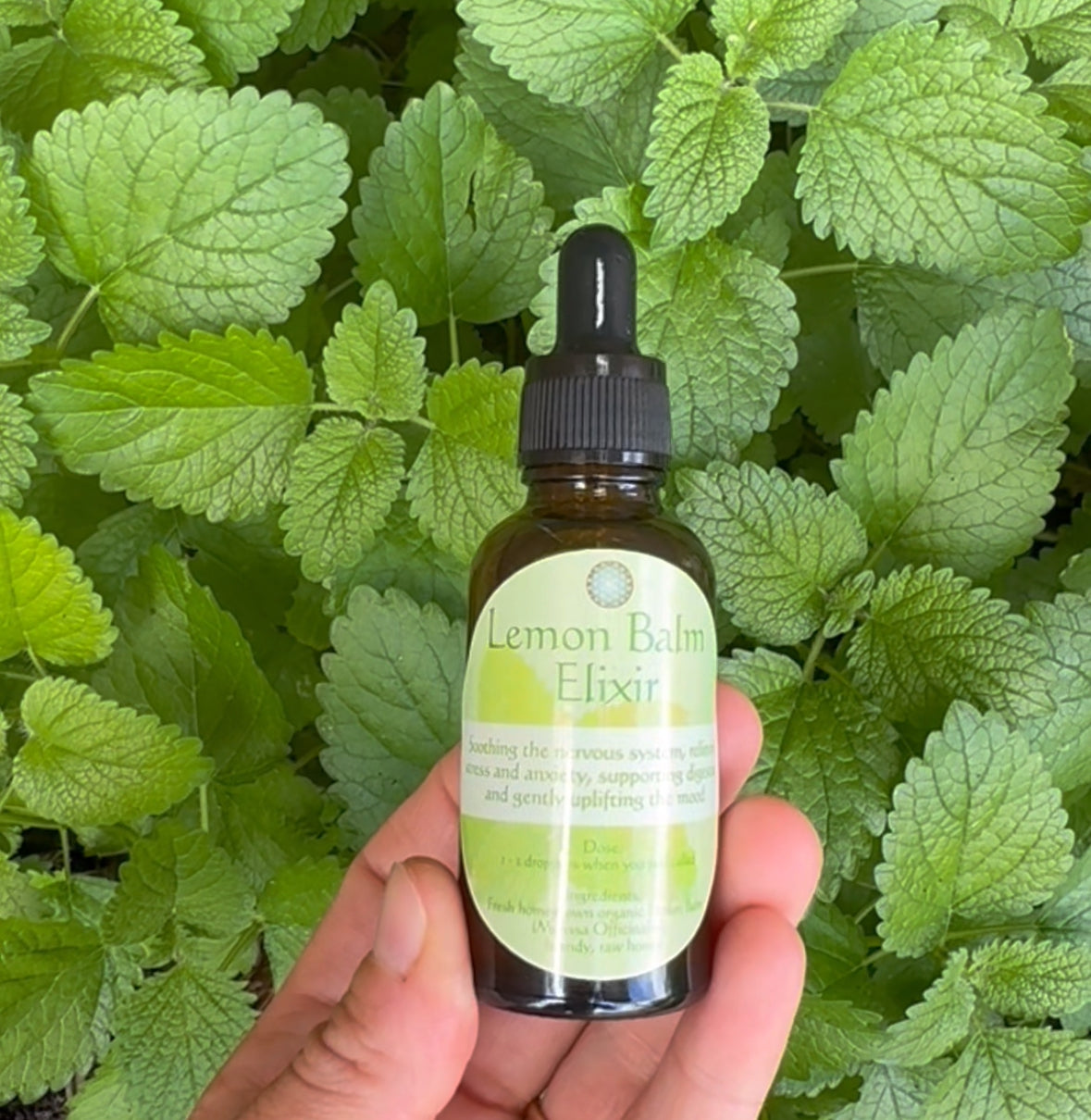 Lemon Balm Calm Elixir