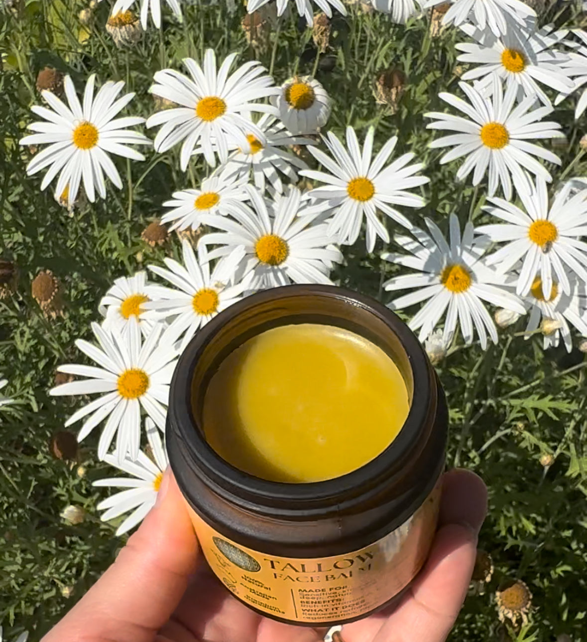 Tallow Botanica Face Balm